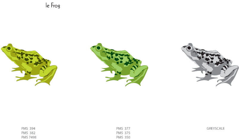 frog exploration