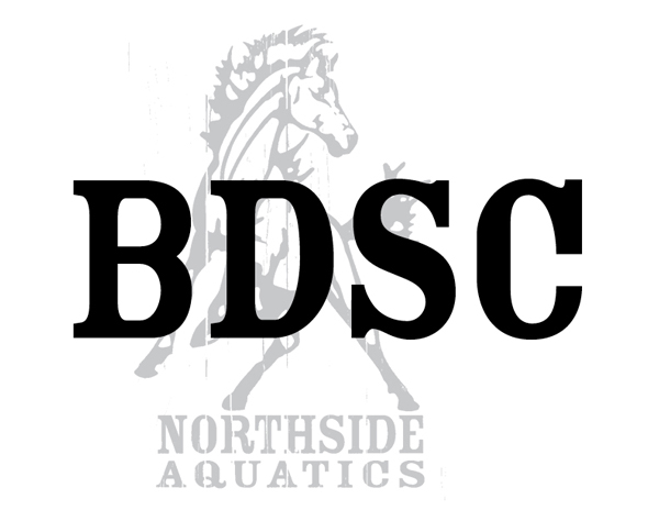 team bdsc