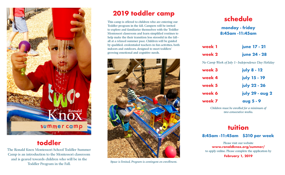 toddler brochure