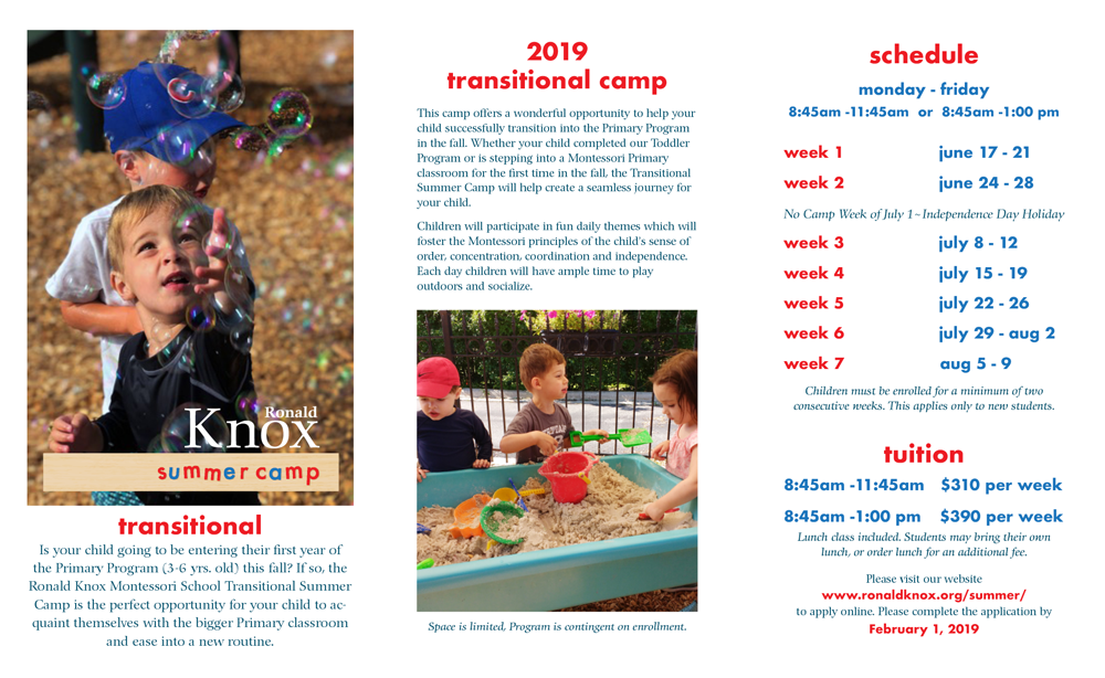 transition brochure