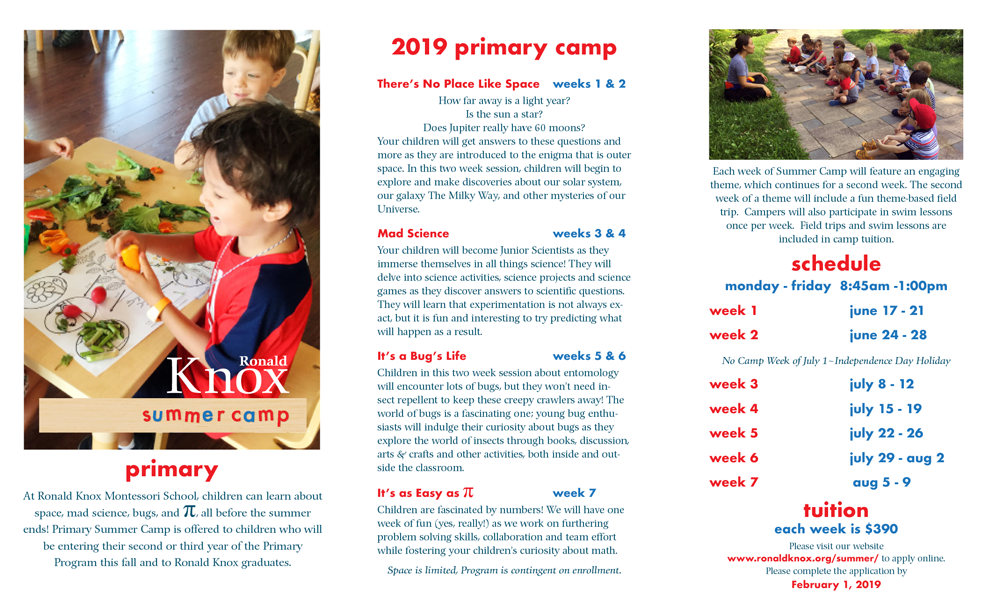 primary brochure