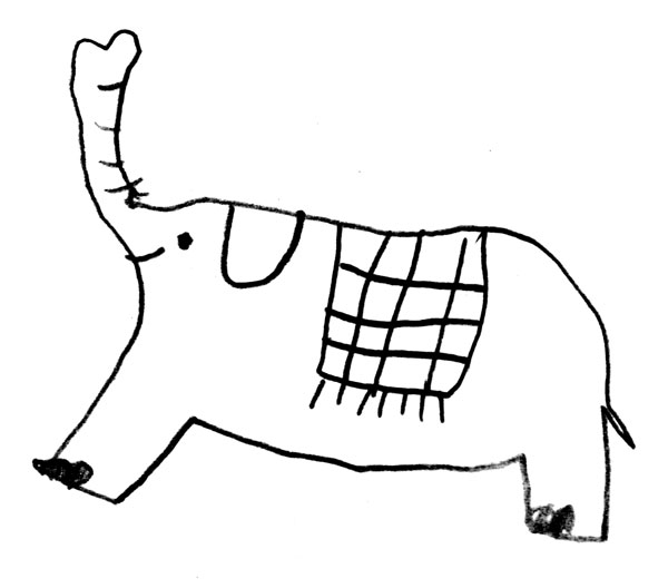 elephant