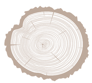 resume tree ring